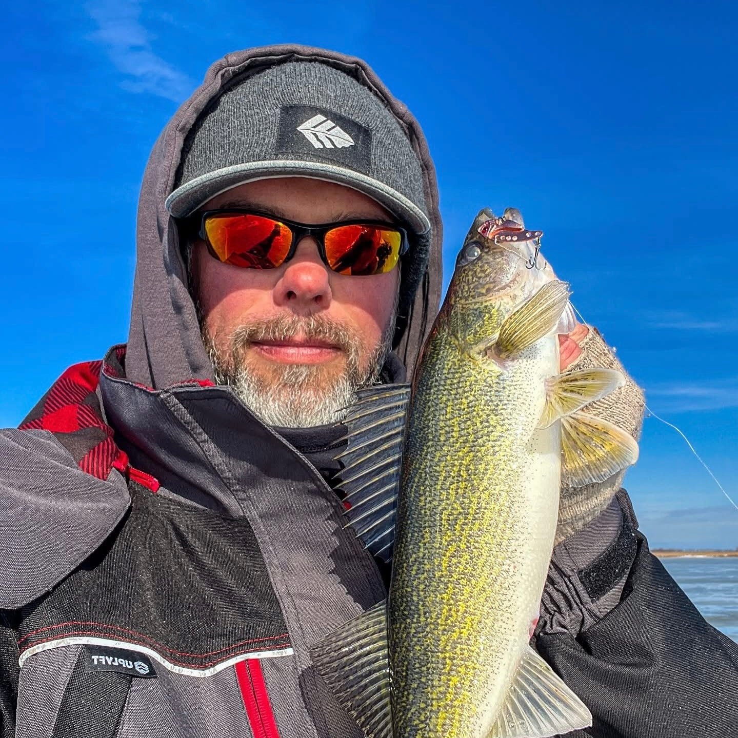 Blade Vibe Baits