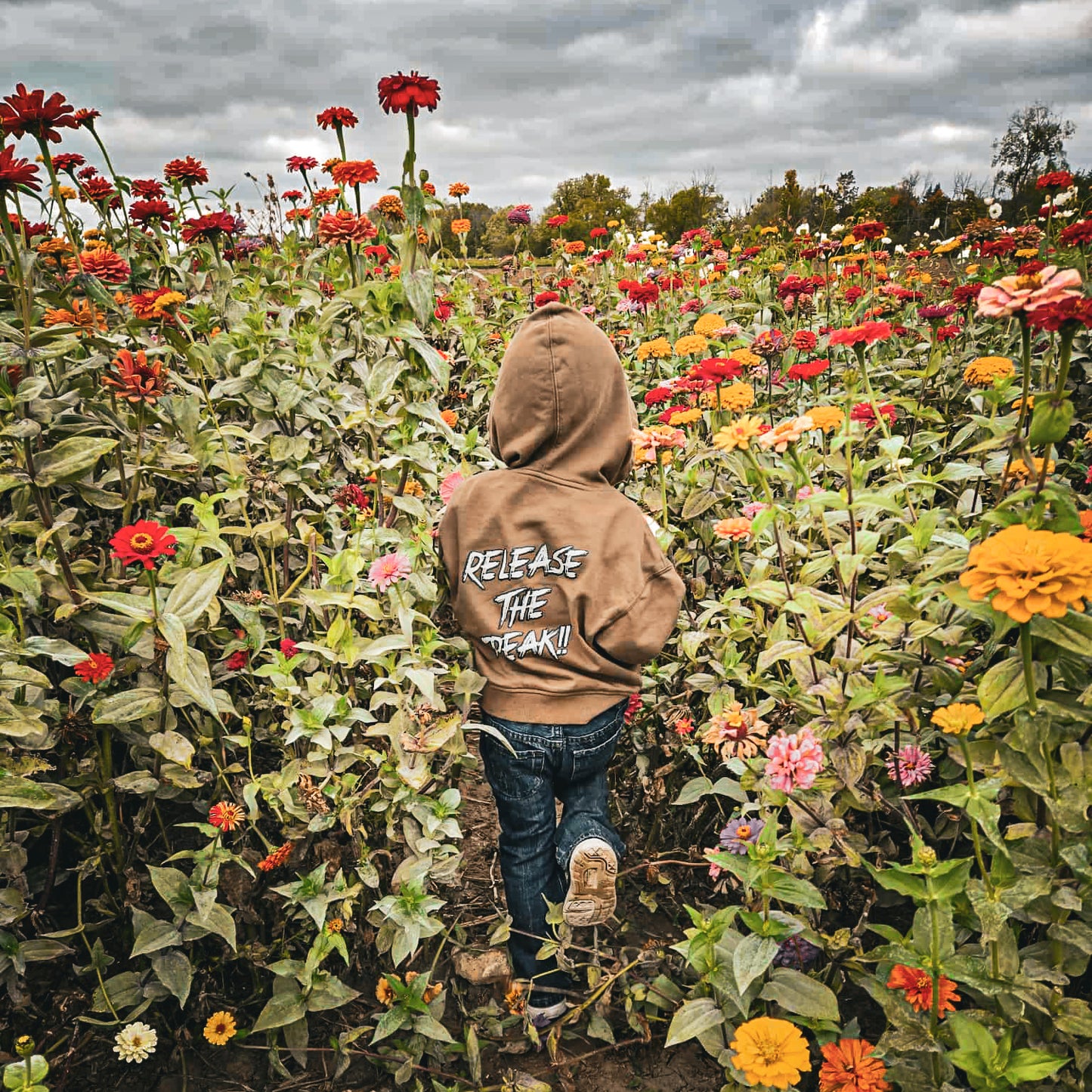 Toddler Hoodies