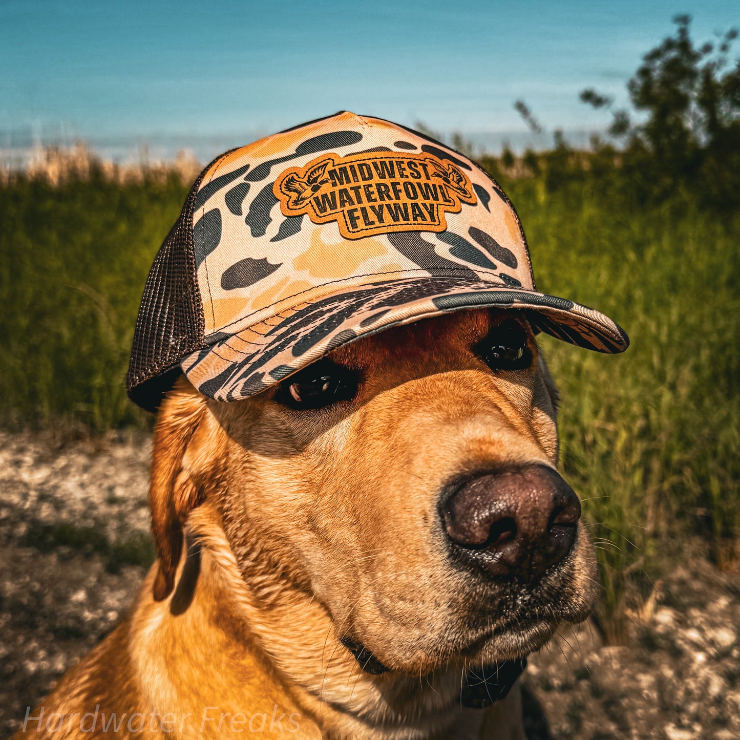 MWF HAT