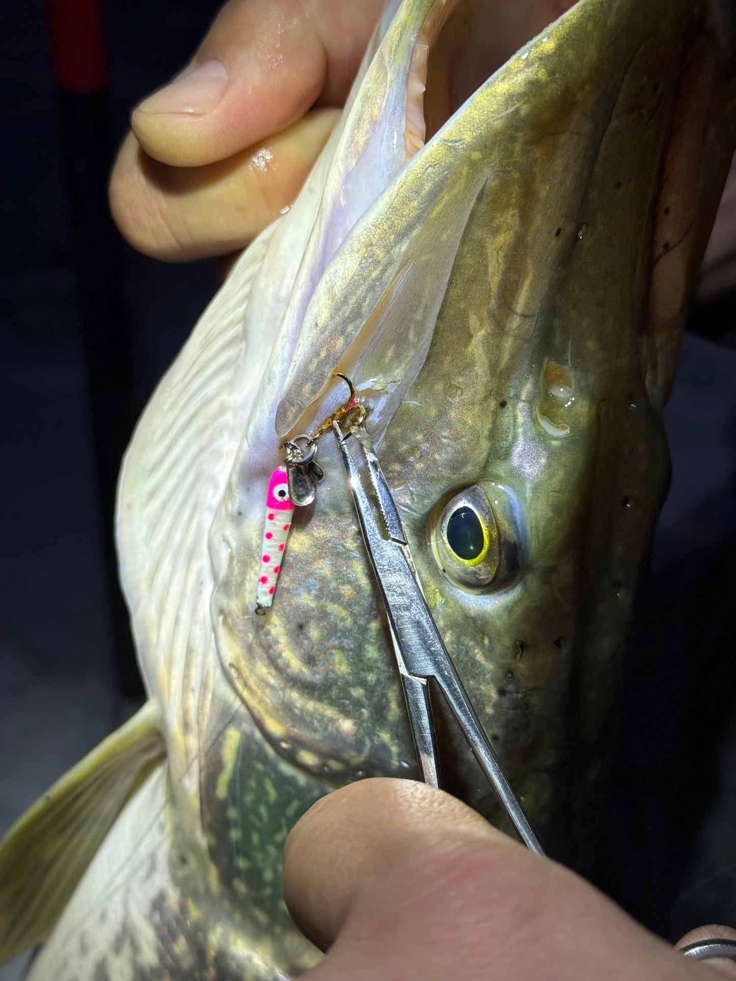 Slab Seeker Glow Spoons