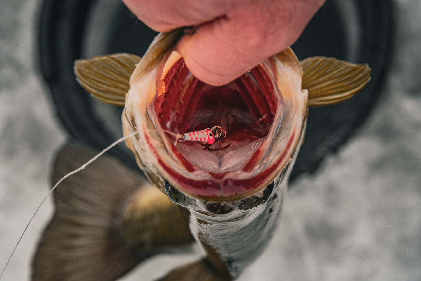 Slab Seeker Glow Spoons