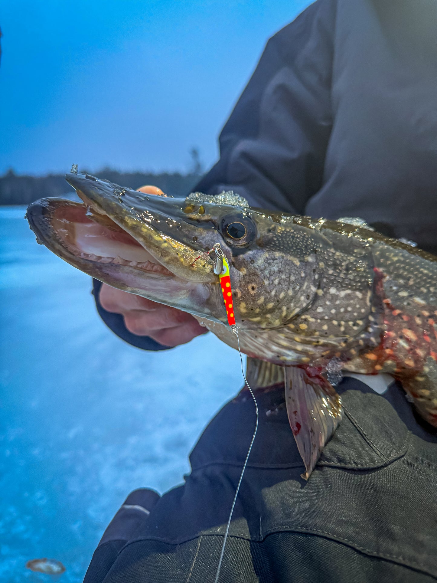 Slab Seeker Glow Spoons