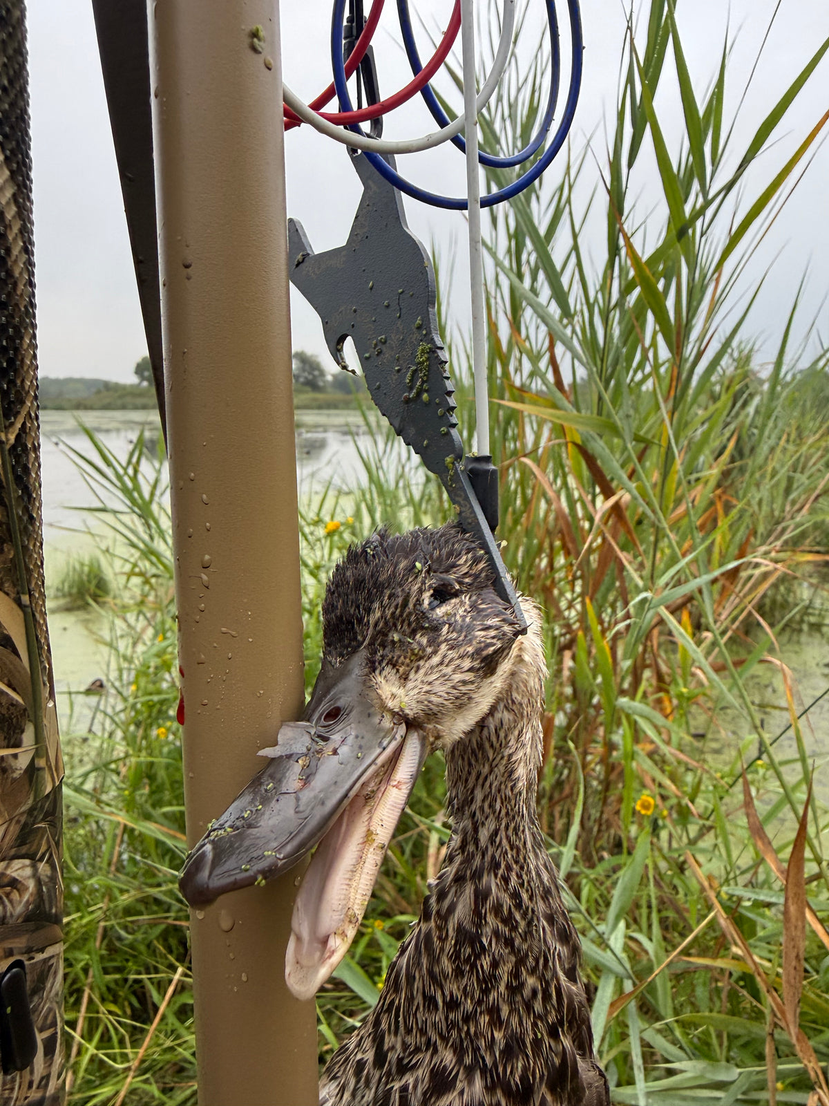 Side-Kick Waterfowl Tool