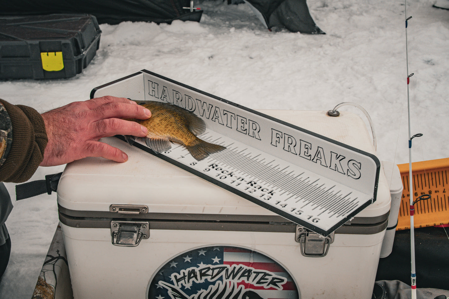 Bump Boards -USA MADE