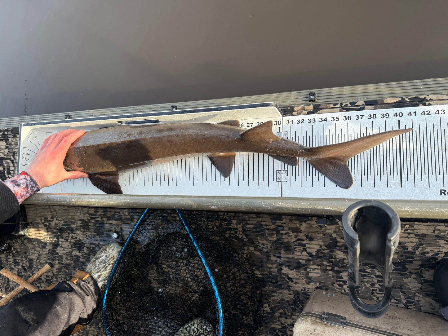 Floating Bump Boards -USA MADE