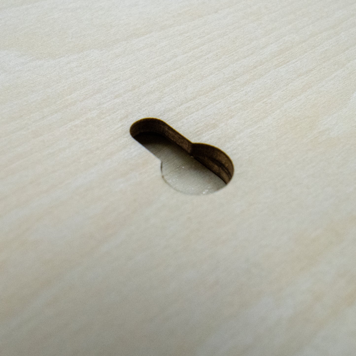 Fish Track Challenge Board
