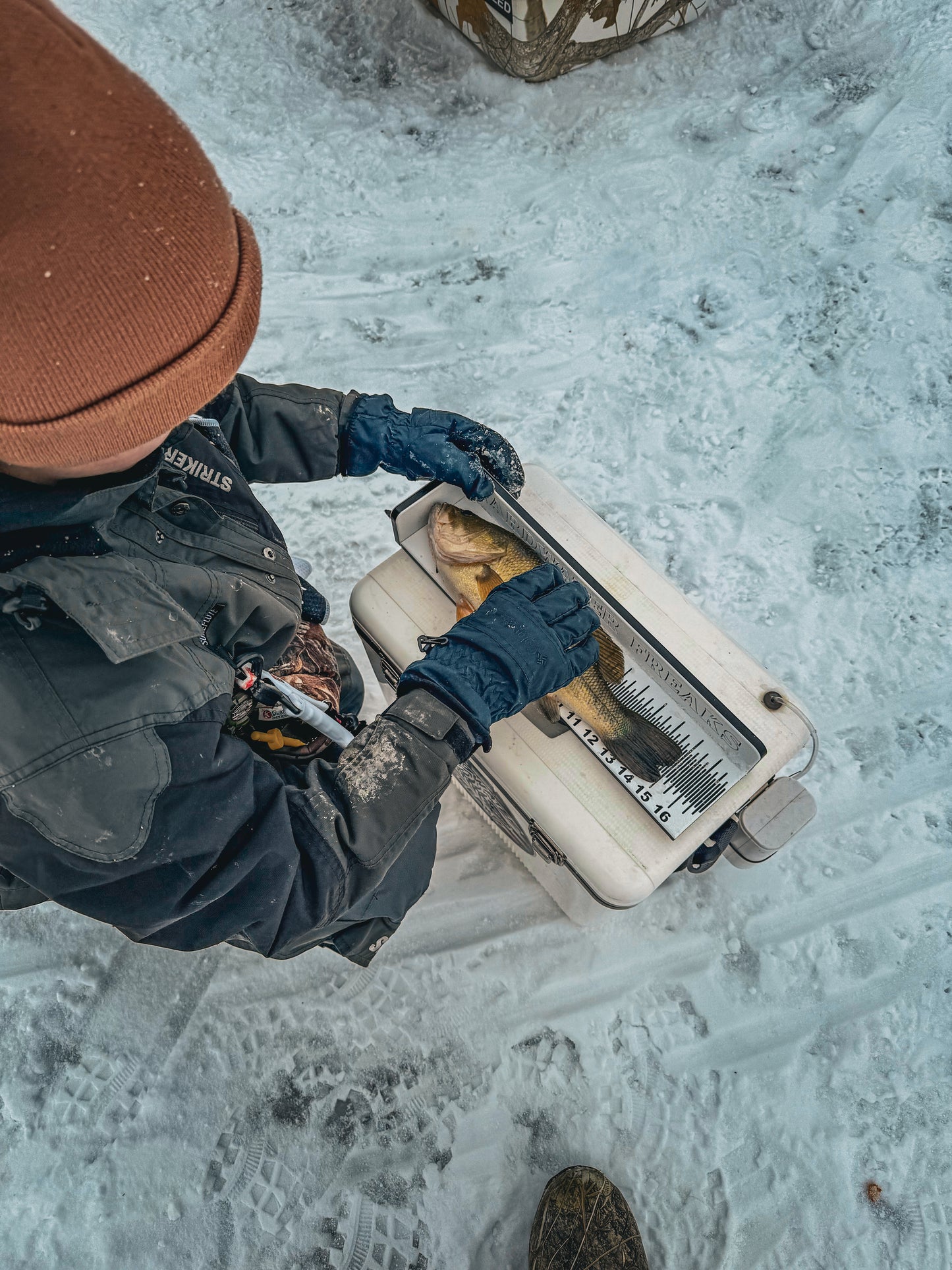 Bump Boards -USA MADE