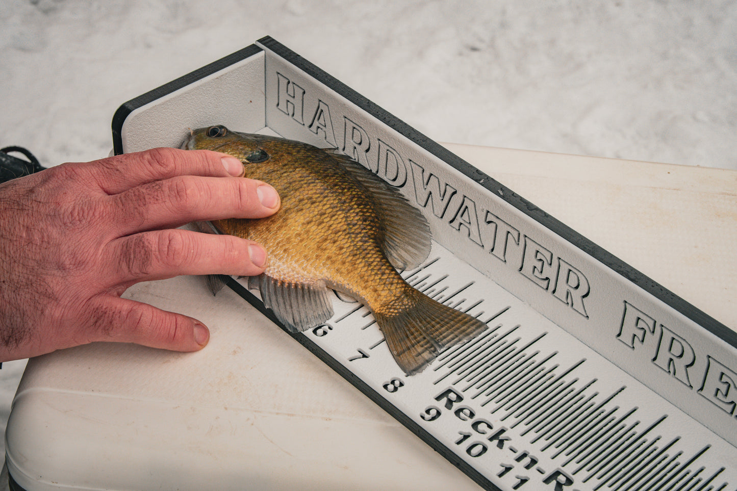 Bump Boards -USA MADE