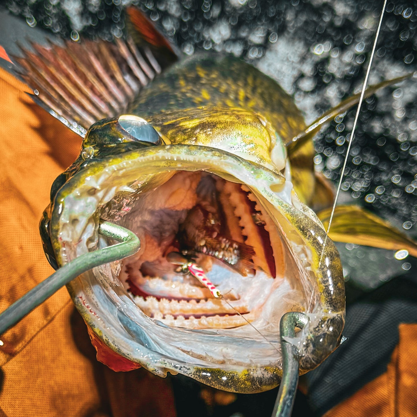 Slab Seeker Glow Spoons