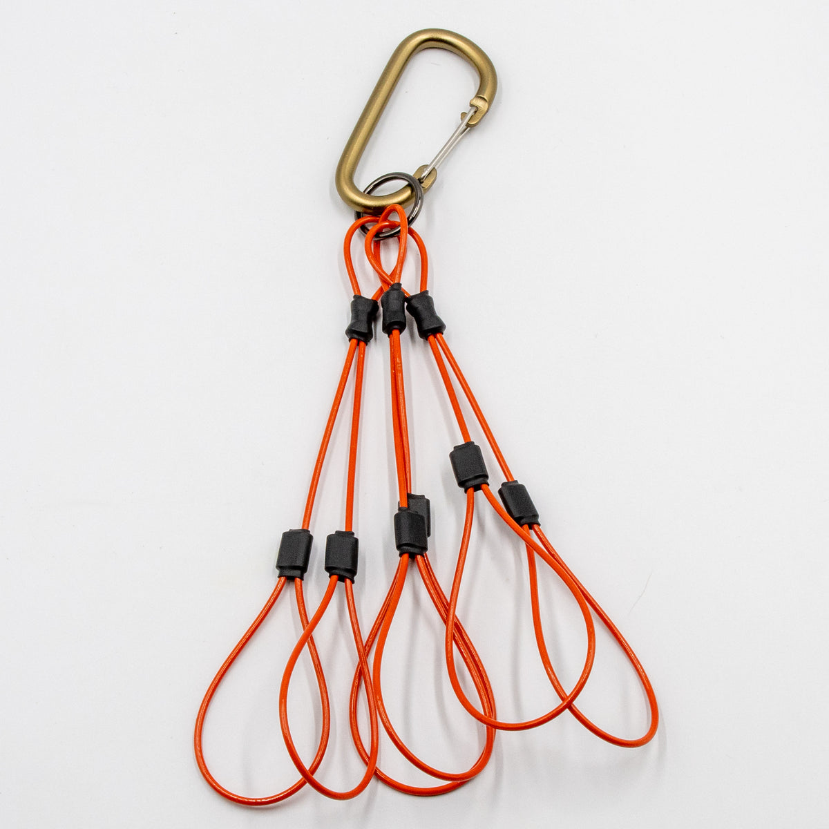 Flyway Six Clip